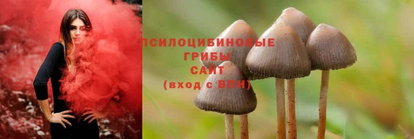 а пвп мука Аркадак