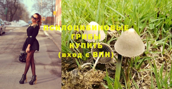 а пвп мука Арсеньев