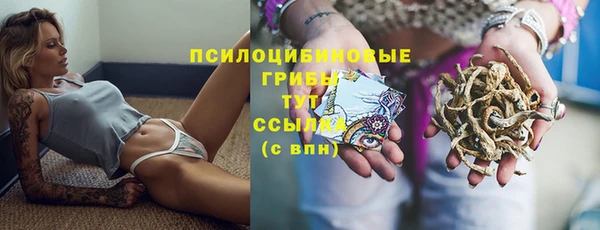 а пвп мука Аркадак