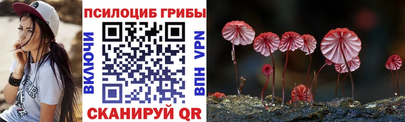 Псилоцибиновые грибы ЛСД цены Приозерск