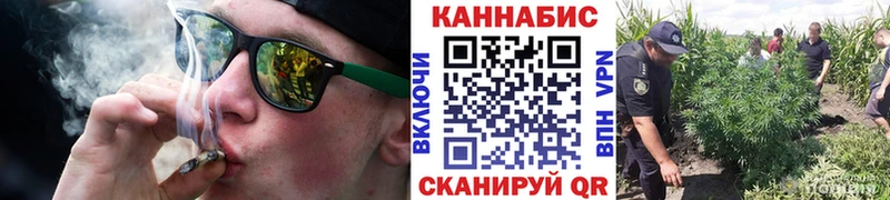 Бошки Шишки MAZAR  Приозерск 